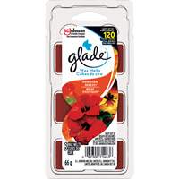 Cubes de cire parfum&eacute;e Glade, Brise exotique Solutions industrielles ALPHA