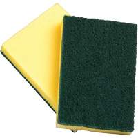 Sponges with Scouring Pad, Scrubbing, 4" W x 6" L Solutions industrielles ALPHA