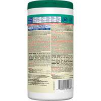 Disinfecting Wipes, 75 Count Solutions industrielles ALPHA