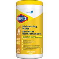 Disinfecting Wipes, 75 Count Solutions industrielles ALPHA