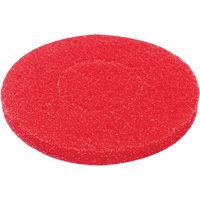 Floor Pad, Polish, Red Solutions industrielles ALPHA