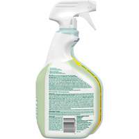 Nettoyant d&eacute;sinfectant CloroxPro Clorox EcoClean, 946 ml, Bouteille &agrave; g&acirc;chette Solutions industrielles ALPHA