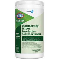 EcoClean Disinfecting Wipes, 75 Count Solutions industrielles ALPHA