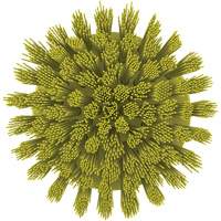 Brosse ronde HyDrive pour perceuse, Soies Tr&egrave;s ferme, Longueur de 3-1/10", Jaune Solutions industrielles ALPHA
