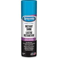 Pro Line Instant Shine for Plastic Surfaces, 11 oz., Aerosol Can Solutions industrielles ALPHA