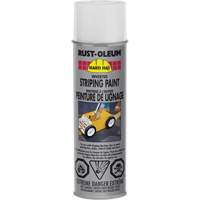 Inverted Marking Paint Spray, White, Aerosol Can Solutions industrielles ALPHA