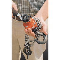 Series 602 Mini Ratchet Lever Hoist, 5' Lift, 550 lbs. (0.275 tons) Capacity, Steel Chain Solutions industrielles ALPHA
