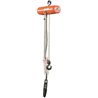 ShopStar Electric Hoists, 10' Lift, 250 lbs. (0.125 tons) Capacity, 16 FPM Solutions industrielles ALPHA