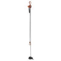 Mini palan &agrave; levier, Lev&eacute;e 15', Cabacit&eacute; 500 lb (0,25 tonne), Chaîne en Acier Solutions industrielles ALPHA