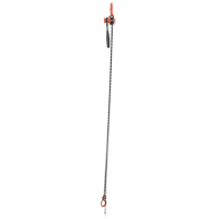 Mini palan &agrave; levier, Lev&eacute;e 10', Cabacit&eacute; 1000 lb (0,5 tonne), Chaîne en Acier Solutions industrielles ALPHA