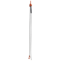 Mini palan &agrave; levier, Lev&eacute;e 10', Cabacit&eacute; 1000 lb (0,5 tonne), Chaîne en Acier Solutions industrielles ALPHA