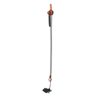 Mini palan &agrave; levier, Lev&eacute;e 15', Cabacit&eacute; 1000 lb (0,5 tonne), Chaîne en Acier Solutions industrielles ALPHA
