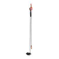 Mini palan &agrave; levier, Lev&eacute;e 15', Cabacit&eacute; 1000 lb (0,5 tonne), Chaîne en Acier Solutions industrielles ALPHA