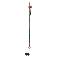 Mini palan &agrave; levier, Lev&eacute;e 20', Cabacit&eacute; 1000 lb (0,5 tonne), Chaîne en Acier Solutions industrielles ALPHA