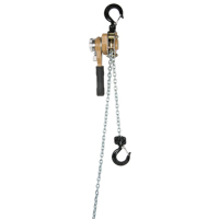 Heavy Duty Gold Series Lever Chain Hoist, 10' Lift, 500 lbs. (0.25 tons) Capacity, Alloy Steel Chain Solutions industrielles ALPHA