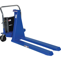 Electric Skid Lift, Steel, 2500 lbs. Capacity Solutions industrielles ALPHA