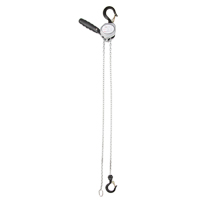 Mini palan &agrave; levier, Lev&eacute;e 5', Cabacit&eacute; 500 lb (0,25 tonne), Chaîne en Zingu&eacute; Solutions industrielles ALPHA