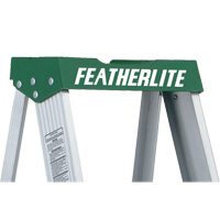 Commercial Duty Stepladders (2400 Series), 4', Aluminum, 225 lbs. Capacity, Type 2 Solutions industrielles ALPHA