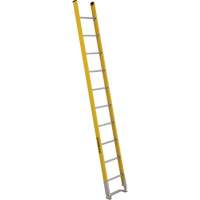 Single Section Straight Ladder - 6100 Series, 10', Fibreglass, 375 lbs., CSA Grade 1AA Solutions industrielles ALPHA
