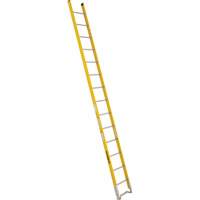 Single Section Straight Ladder - 6100 Series, 14', Fibreglass, 375 lbs., CSA Grade 1AA Solutions industrielles ALPHA