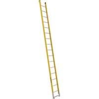 Single Section Straight Ladder - 6100 Series, 16', Fibreglass, 375 lbs., CSA Grade 1AA Solutions industrielles ALPHA