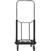 Fold-Up Platform Truck, Stainless Steel, 300 lbs., 28" L x 16" W, 33-1/2" High Solutions industrielles ALPHA