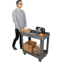 Chariot utilitaire pour l'entretien, 2 tiers, 16-1/2" x 32-1/2" x 34-1/2", Capacit&eacute; 550 lb Solutions industrielles ALPHA