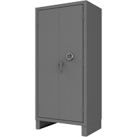 Access Control Cabinet Solutions industrielles ALPHA