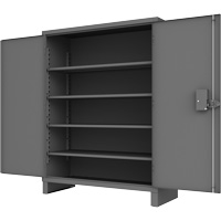 Access Control Cabinet Solutions industrielles ALPHA