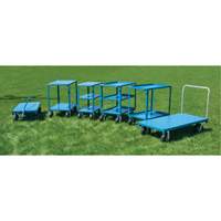 Heavy-Duty Platform Truck, 48" L x 24" W, 1200 lbs. Capacity, Flat Free Casters Solutions industrielles ALPHA
