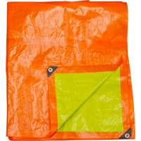B&acirc;che tiss&eacute;e robuste haute visibilit&eacute;, Poly&eacute;thyl&egrave;ne, Vert/Orange, 16' x 20' x 12 mils Solutions industrielles ALPHA