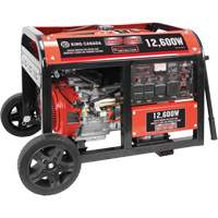 Gasoline Generator with Electric Start, 12600 W Surge, 9000 W Rated, 120 V/240 V, 31 L Tank Solutions industrielles ALPHA
