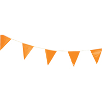 Pennants, 60' L, Orange Solutions industrielles ALPHA