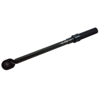 Cl&eacute; dynamom&eacute;trique, &agrave; cliquer, Entraînement 3/8" carr&eacute;, 20 - 100 lb-pi Solutions industrielles ALPHA
