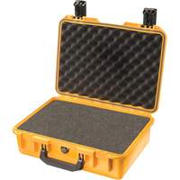iM2300 Storm Case Solutions industrielles ALPHA