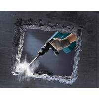 Demolition Hammer Solutions industrielles ALPHA