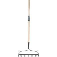 Heavy-Duty Bow Rake, Wood Handle, 58" L, 15" Blade, 15 Tines Solutions industrielles ALPHA