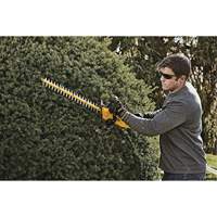 MAX* Hedge Trimmer, 22", 20 V, Battery Powered Solutions industrielles ALPHA