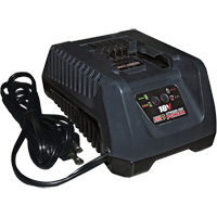 Chargeur rapide de batterie au lithium-ion 18 V Solutions industrielles ALPHA