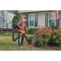 Souffleur/aspirateur/broyeur de feuilles 3-en-1 VacPack, Vitesse d'air 250 mi/h, &eacute;lectrique Solutions industrielles ALPHA