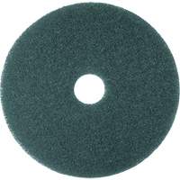 Cleaner Pad, 13", Scrubbing, Blue Solutions industrielles ALPHA