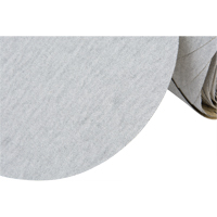 426U Stikit Paper Disc Roll, 6" Dia., 100 Grit, Silicon Carbide Solutions industrielles ALPHA