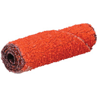 Rouleau de cartouche Blaze R920, 60 Grain, 3/8" dia., C&eacute;ramique d'alumine, 1-1/2" lo, 1/8" Dimension de l'arbre Solutions industrielles ALPHA