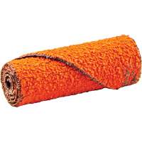 Cartouche de ruban abrasif en rouleau, 60 Grain, 1/2" dia., C&eacute;ramique d'alumine, 1-1/2" lo, 1/8" Dimension de l'arbre Solutions industrielles ALPHA