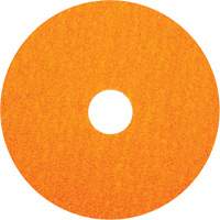 BlazeX F980 Fiber Disc, Ceramic Alumina, 36, 5" Dia x 7/8" Arbor Solutions industrielles ALPHA