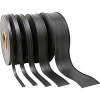 Card Holder, Magnetic, 600" L x 2" W Solutions industrielles ALPHA