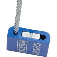 Scell&eacute;s de haute s&eacute;curit&eacute;, 12", M&eacute;tal, Scell&eacute; &agrave; c&acirc;ble Solutions industrielles ALPHA