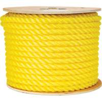 Corde jaune tress&eacute;e 5/8", Polypropyl&egrave;ne, 200' Solutions industrielles ALPHA
