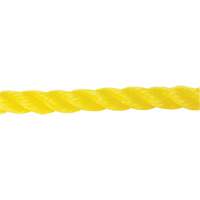 Corde jaune tress&eacute;e 5/8", Polypropyl&egrave;ne, 200' Solutions industrielles ALPHA