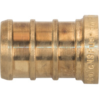 Lead-Free Pipe Plug, Pipe, 1/2" Dia., Brass Solutions industrielles ALPHA